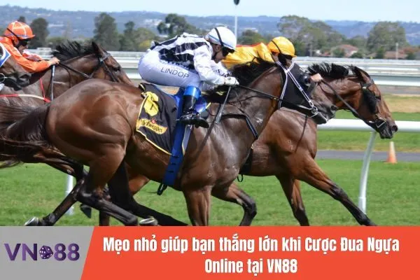 Vn88 – Cược Đua Ngựa Online, Tỷ Lệ Cược Đua Ngựa Cao 3 Cược Đua Ngựa Online